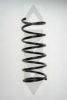 SPIDAN 55212 Coil Spring